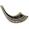 Shofarot Israel 8"-10" Kosher Rams Horn Half Polished Ram Shofar | Authentic Shofar Horn from Israel | Jewish Blowing Horn, Chofar Original Israel