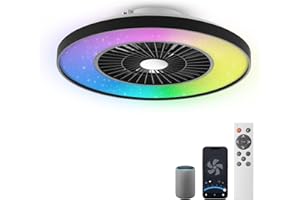 BKZO Smart LED Ceiling Light with Fan,RGB Ceiling Fan Lights, Stepless Dimming, 60CM Modern Fan Lighting,Ceiling Fan with RGB Light for Living Room, Dining Room, Bedroom