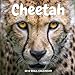 Cheetah 2018 Wall Calendar: Cheetah Photography, 8.5 x 8.5, Mini Calendar, Wall Calendar (New Years Gift Idea) (Animal Calendars) by Cutesie Calendars
