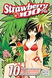 Strawberry 100%, Vol. 10