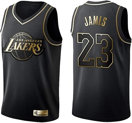 lebron james basketball vest