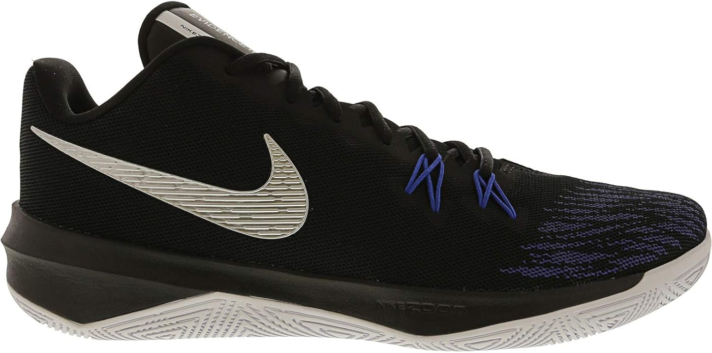 zoom evidence 2 review