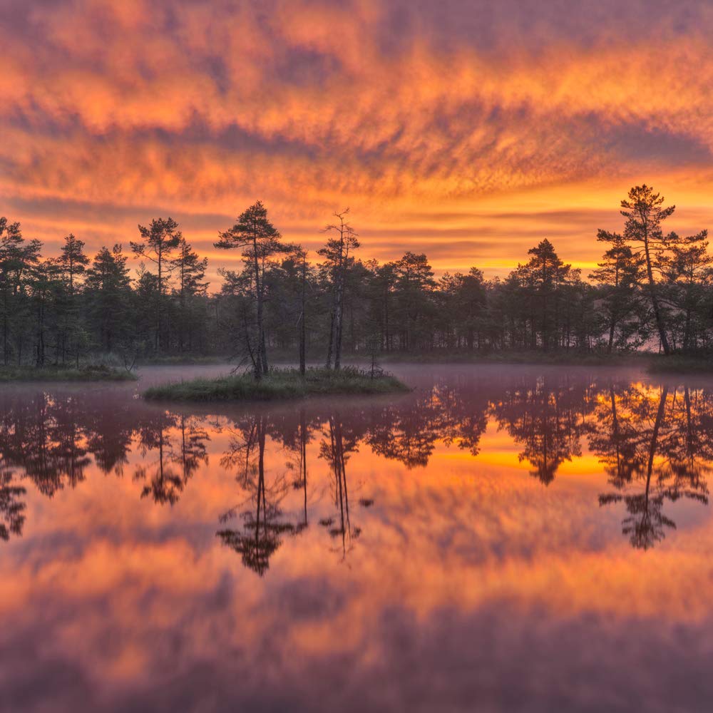 International Graphics - Finished Picture - Hans, Strand - ''Dawn''- 30 x 30 cm - Direct printing on acrylic glass