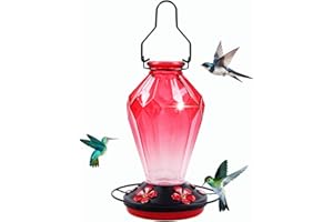 MCHBF Glass Hummingbird Feeder for Outdoors Hanging, 25Oz Humming Bird Nectar Feeder, Perch, 5 Flower Feeding Ports, Leak Proof Base, Hook for Outside Garden Backyard, Gift for Women Mom, Diamond Red