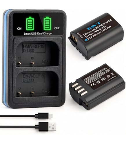 Amazon.com: BM Premium 2 Pack of DMW-BLK22 Replacement Batteries