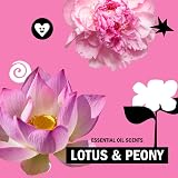 Molly's Suds Original Laundry Detergent Powder Lotus & Peony 120 Loads view 6