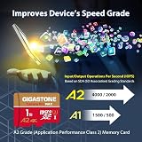 Gigastone 1TB Micro SD Card A2 V30 4K UHD GoPro w/ USB C 3.2 Card Reader Adapter view 6