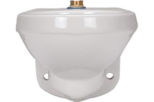 Zurn Z5615-BWL Toilet Bowl Only, 1.28 gpf Wall Hung Elongated Toilet
