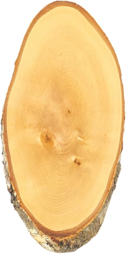 Cervo Cartello In Legno Di Faggio 50 55 X 25 Amazon It Fai Da Te