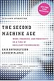 The Second Machine Age - Work, Progress, and Prosperity in a Time of Brilliant Technologies