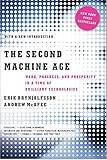 The Second Machine Age: Work, Progress, and Prosperity in a Time of Brilliant Technologies