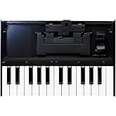 Roland K-25M Boutique Module Dock USB MIDI Keyboard | Portable keyboard for Roland Boutique modules