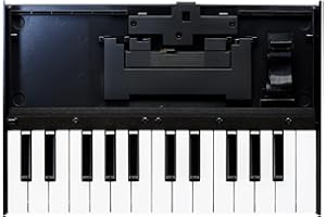 Roland K-25M Boutique Module Dock USB MIDI Keyboard, 12 inch (K-25M), Multi-Colored