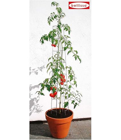 Tomatenturm 120 cm,1 Stück