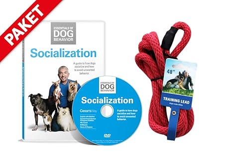 Hundeflüsterer Cesar Millan Leine Hundehalsband Illusion Collar Rot gewebte weiche Baumwolle inkl. Socialization DVD Hunde So