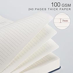 EMSHOI Meeting Notebook for Work with Action Items