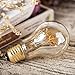 SEALIGHT Vintage Flexible LED Filament Bulb A19