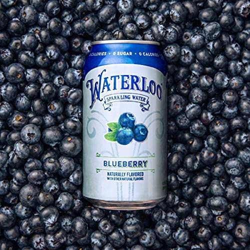 Waterloo Sparkling Water, Blueberry Naturally Flavored, 12 Fl Oz Cans