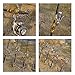Shelure Telescopic Fishing Rod, Short, Carbon Fibre, Retractable Fishing Pole, Saltwater/ Freshwater, Spinning Poles in Various Sizes