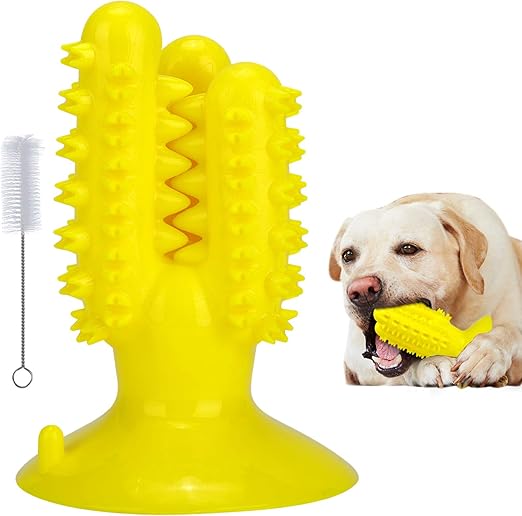 cleaning supplies safe for dogs