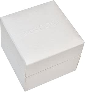 Pandora p4013 - Caja para joyas : Amazon.es: Joyería