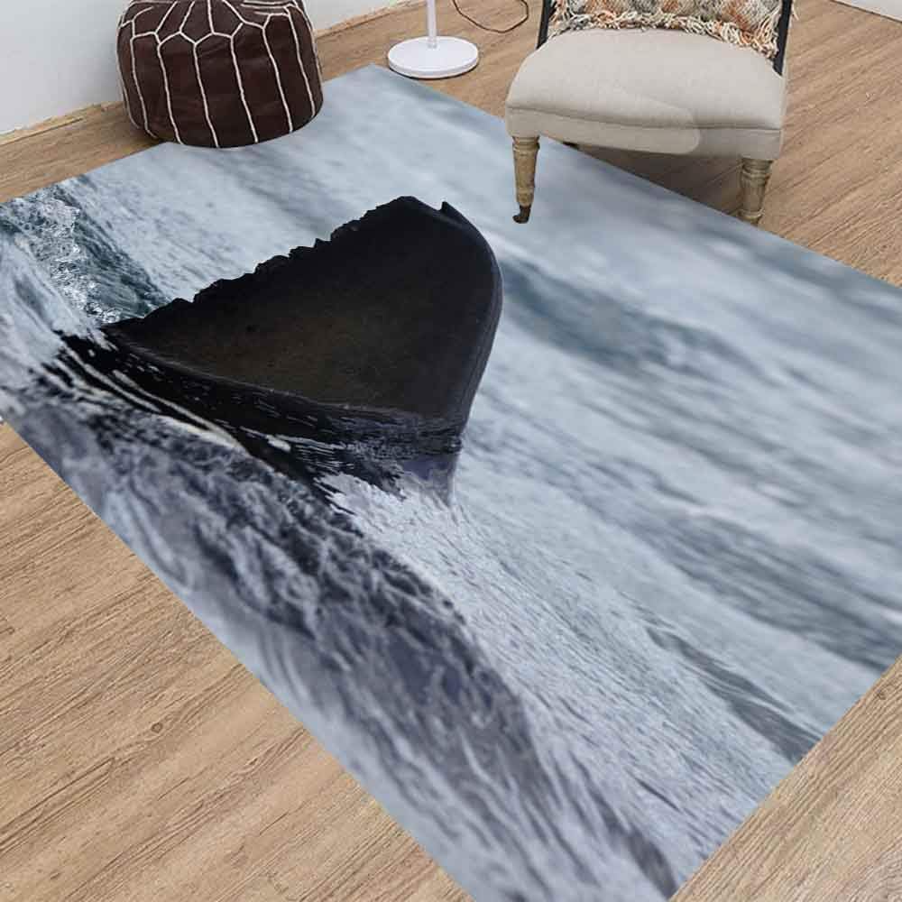 Jesmacti Rug Multi-Style Modern Interior Decoration Rug,Living Room Rug Rug, Great White Shark South Africa Suitable for Living Room Bedroom Kindergarten Dormitory (3X5 Feet)