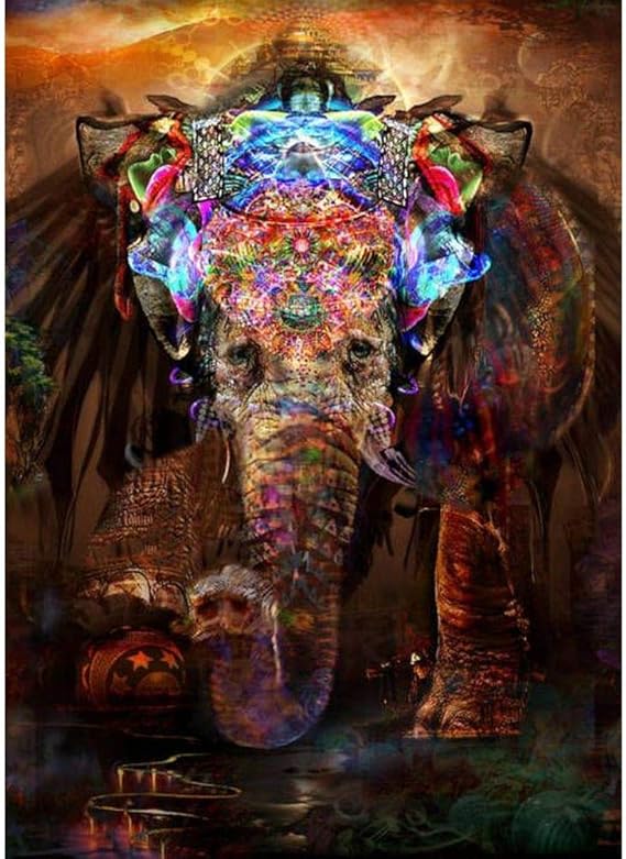 Injoyser Diamond painting kits for kids,5D DIY Diamond Painting by