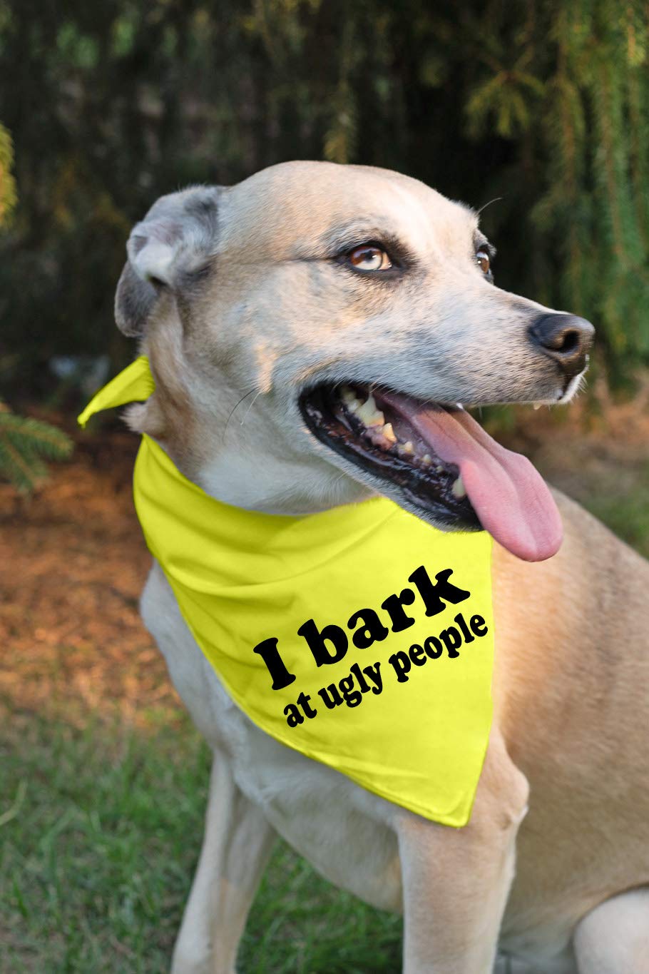 Funny I Bark at Ugly People Dog Bandana Dog Scarf Bandanas Dogs