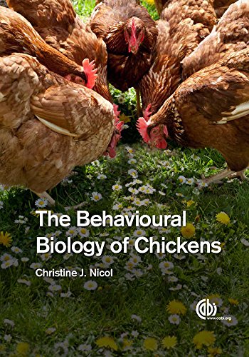 The Behavioural Biology of Chickens - Thumbnail 3