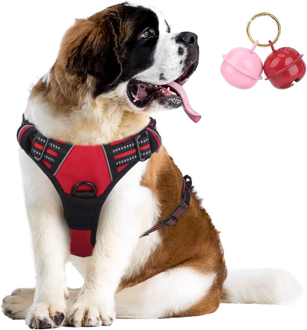 st bernard pulling harness