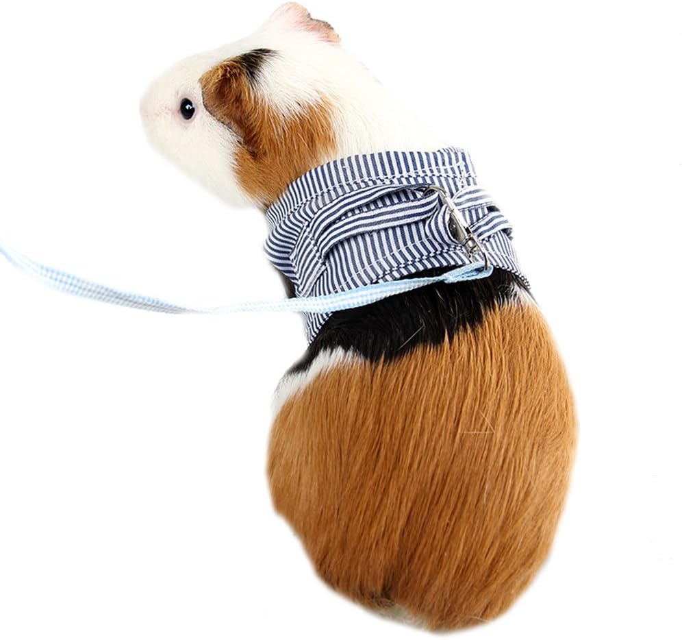 ASOCEA Small Animals Harness and Leash Adjustable Pet Walking Lead Comfort Padded Vest Training Leash for Rats Iguana Hamster Ferrets Small Animal - Image 5