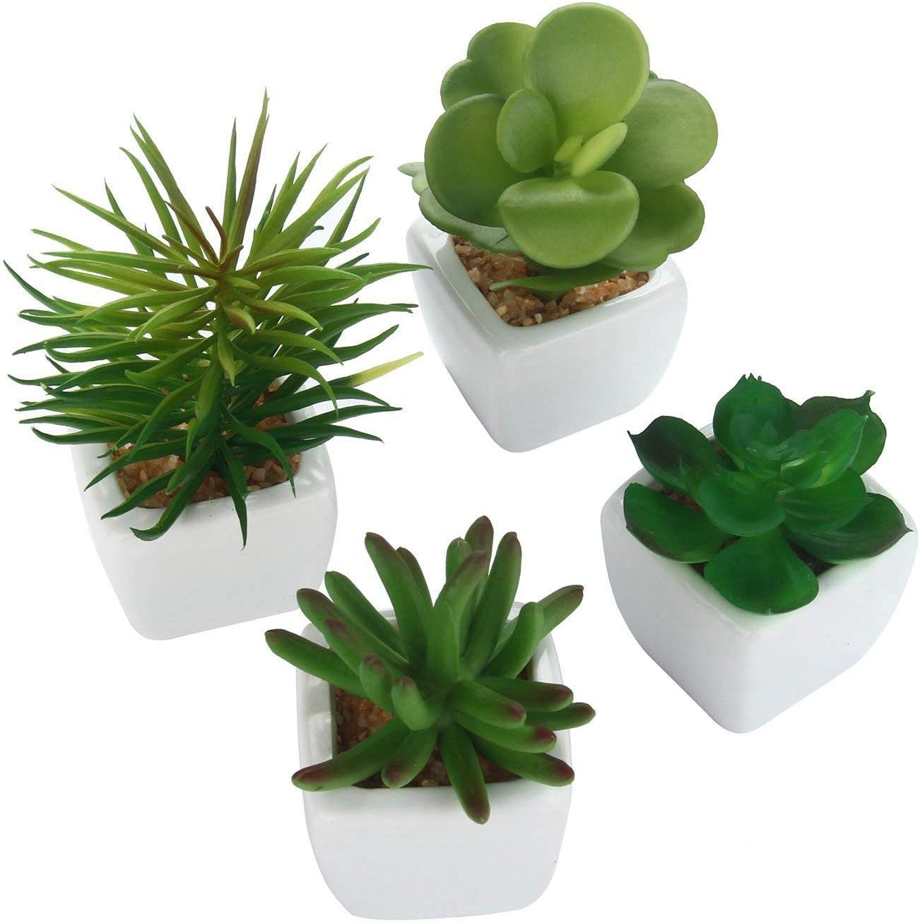 Fransande Juego de 4 plantas suculentas artificiales