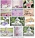 Butterfly Curtain Tiebacks Gray Grey Pink Hailey Nylon Butterflies Pair Set Decorations Window Treatment Holdback Sheer Drapes Holder Drapery Tie Back Baby Nursery Bedroom Girl Room Decor Home DIY