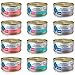Blue Buffalo Healthy Gourmet Cat Food Variety Pack - 12 cans, 3 Flavors (Salmon, Ocean Fish & Tuna, and Tuna)