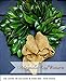 DriedDecor.com Magnolia Leaves - Bulk 2lb Box