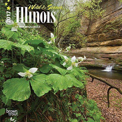 Wild &amp; Scenic Illinois 2017 Small Wall Calendar