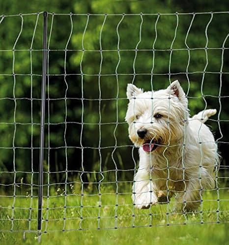 Cloture En Grillage Pour Chien Et Chat Avec 9 Piquets Longueur 25 M Amazon Fr Animalerie