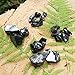 Karelian Heritage Elite Shungite Raw Stones for Water Purification & Filtering Set of 4 pcs | Healing Crystal Reiki, Mediation, Chakra Balancing, Yoga | Shungite Rocks for Personal Protection ES80