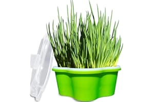 LeJoy Garden Seed Sprouter,Flower Shaped Germination Tray,BPA Free PP Soil-Free Healthy Wheatgrass Grower with Lid,Cretive Design Sprouting Kit