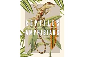 Tattoo Reference Book: Reptiles & Amphibians, Restored Vintage Illustrations for Artists and Designers