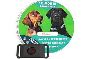 Fursure Pendant for Dogs Cats Pest Control Support Waterproof Long Lasting with Refill Capsules Easy Attach for All Breeds (B