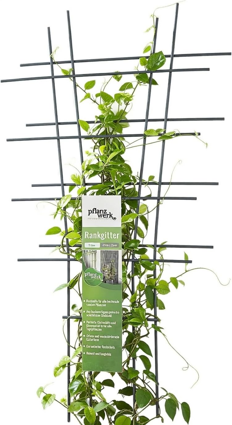 Pflanzwerk® Plant Pot Trellis – Pack of 2 – 78 x 35 cm Plants Trellis Flowers Roses Climbing Aid 100% Rust-Free 100% Root Protection 100% UV Protection