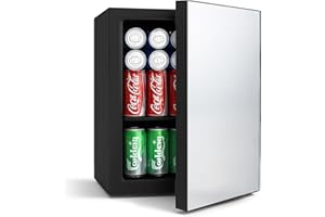 DOGHLY 0.95 Cu.Ft Mini Refrigerator and Beauty Fridge, 24 Cans Mini Fridge with Mirror Door, Temperature Control, Removable Shelf, Compact Cooler for Bedroom, Dorm, Office, Beverage Beauty Storage