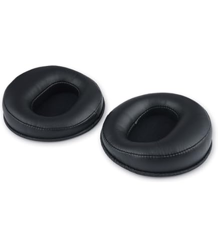 Foxtex T60RP イヤーパッド欠品 Amazon.com: Fostex EX-EP-RP60