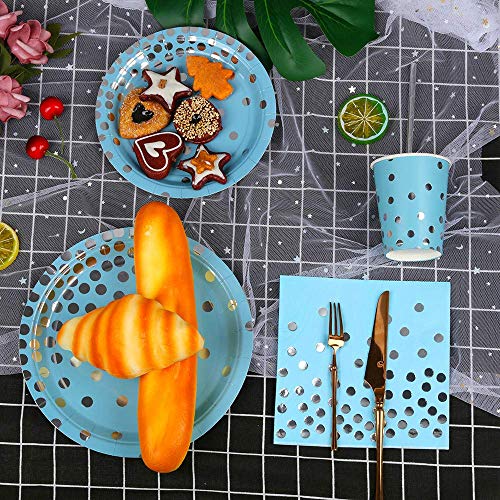 Ottin Blue and Silver Party Supplies 50 Guests Paper Plates and Napkins Set Include Dessert/Dinner Plates Cups Napkins Straws for Wedding Birthday Valentine's Day