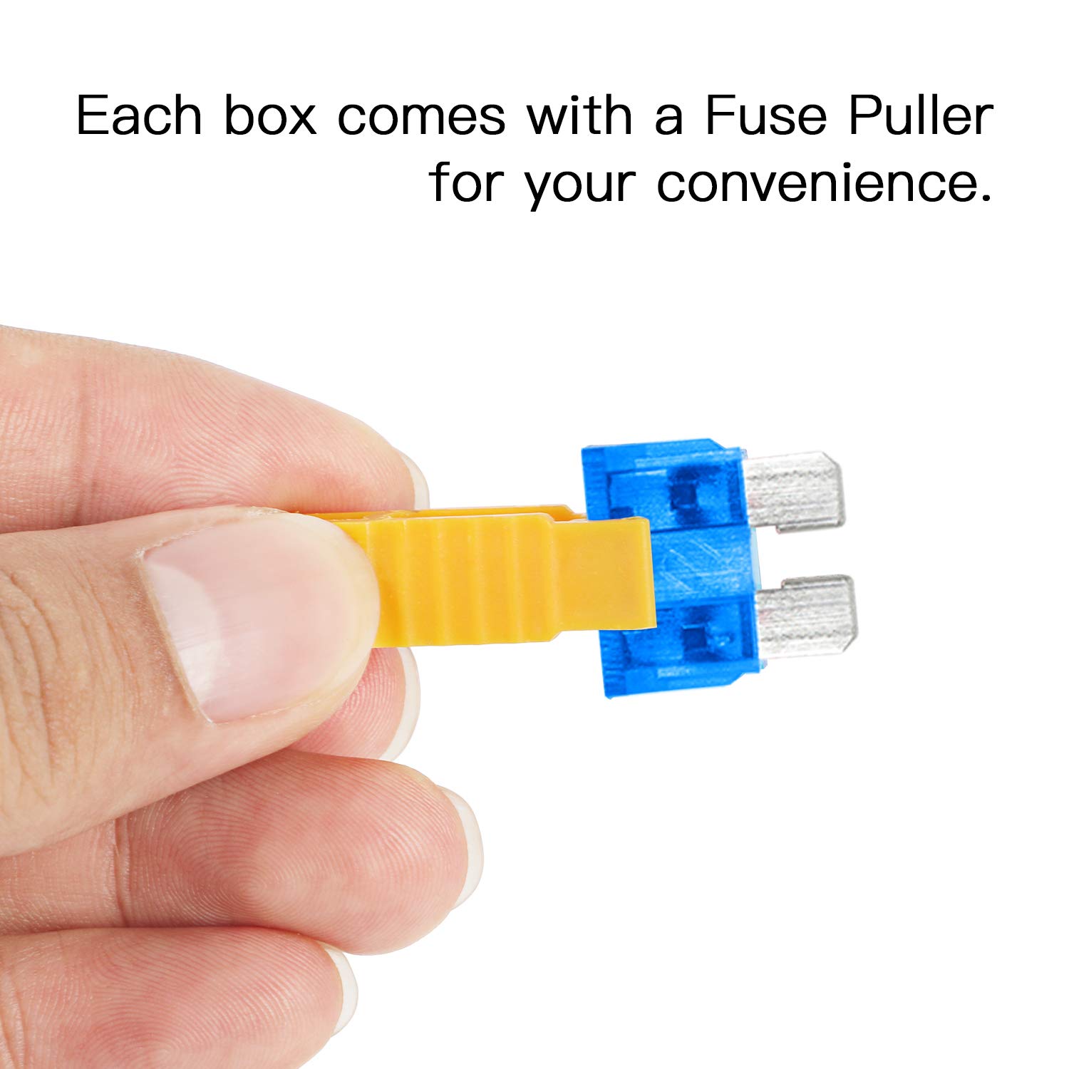 FANSIN 220PCS Car Fuses Automotive Fuses Car Fuse Kit with Fuse Puller