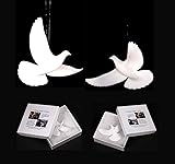 Home Alone Turtle Doves TWO BOX Version Authentic