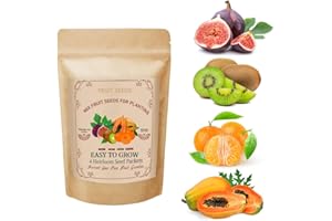 FICOSZO 300+ Mix Heirloom Fruit Seeds Kiwi Fig Papaya Orange Seeds 4 Varieties Individually Packaged for Home Garden