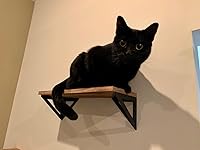 Review Image by Emmy Emmy