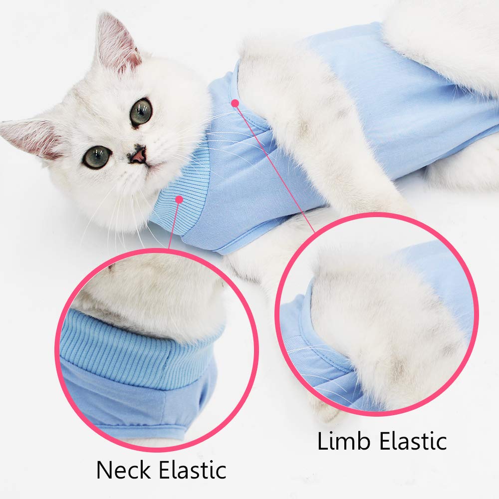 Ropa Para El Hogar Alternativo Para Gatos Y Perros Despu s De La 